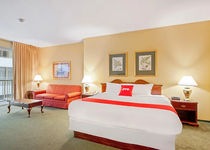 Best Saint Louis Hotels For Families With Kids